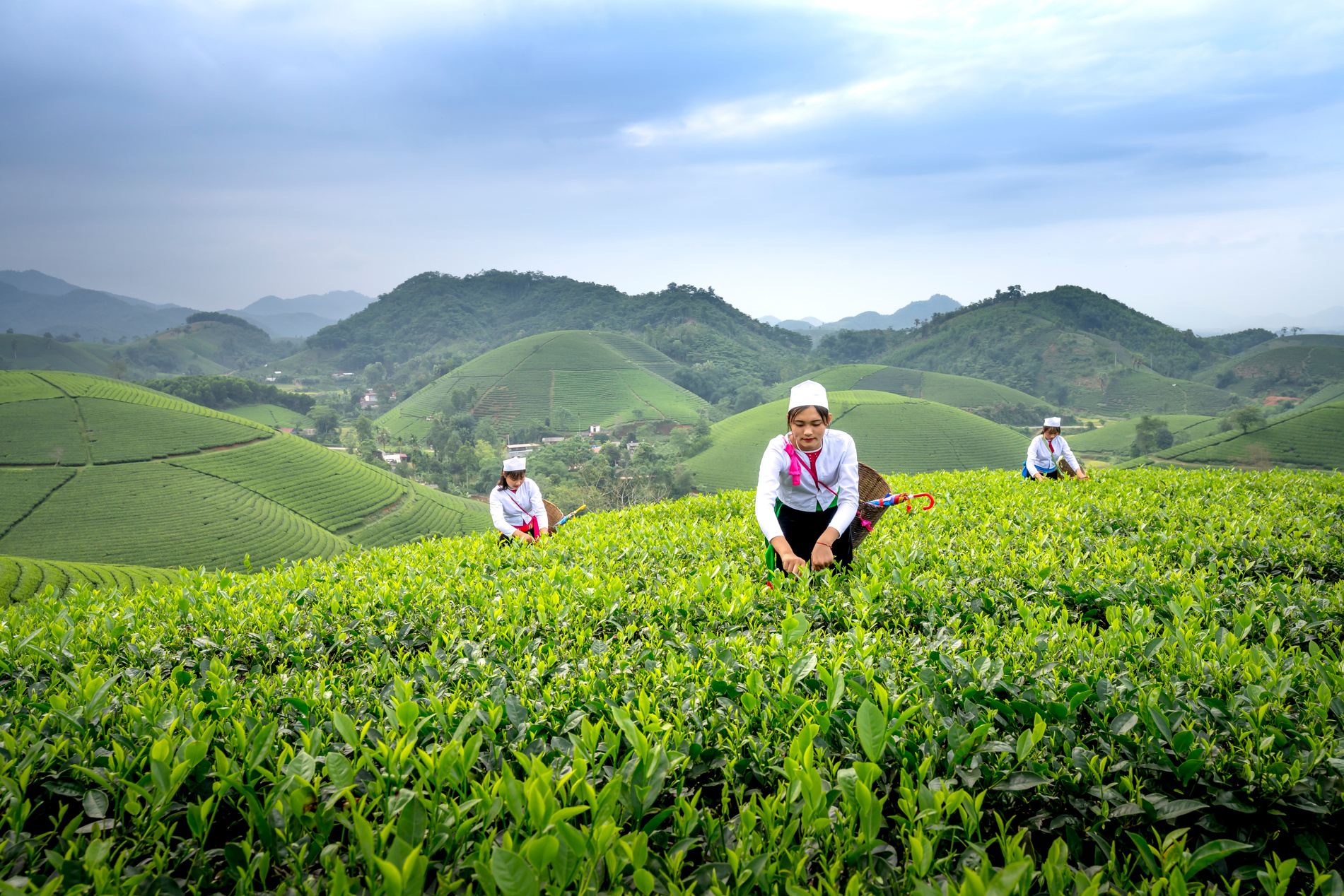 Women Farming