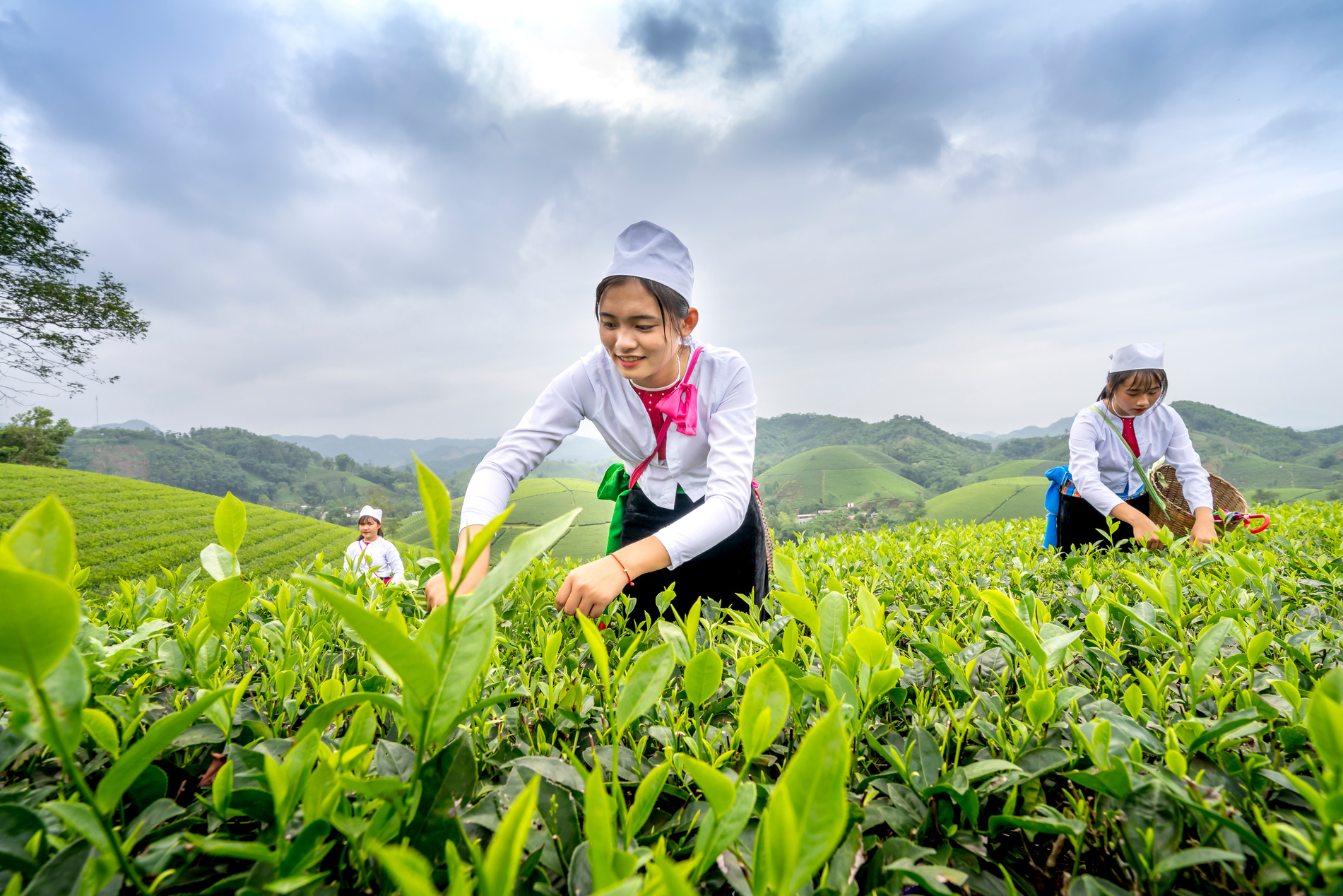 Women Farming